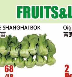 BEBE SHANGHAI BOK