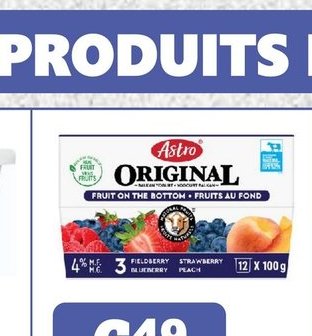 ASTRO YOGOURT YOGURT