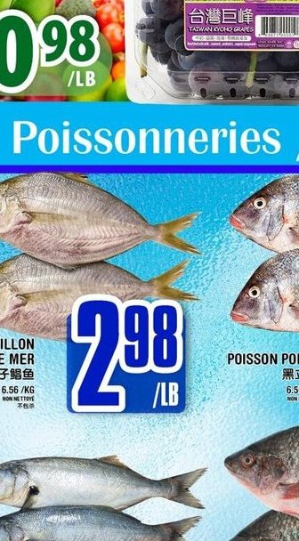 Gingembre biologique