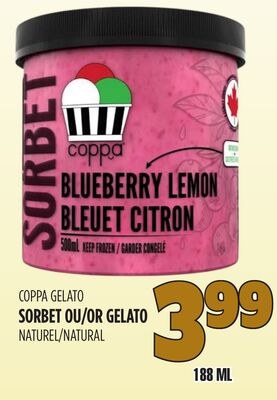 SORBET OU GELATO NATUREL COPPA GELATO