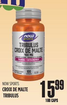 NOW SPORTS CROIX DE MALTE TRIBULUS