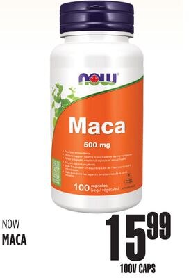 NOW MACA