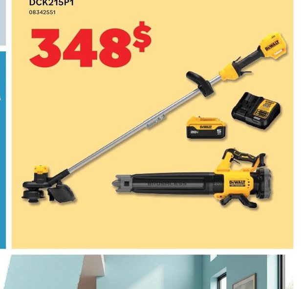 DeWALT Ensemble coupe-bordure et souffleur sans…