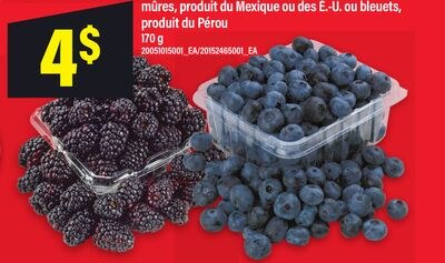 MÛRES OU BLEUETS, 170 g