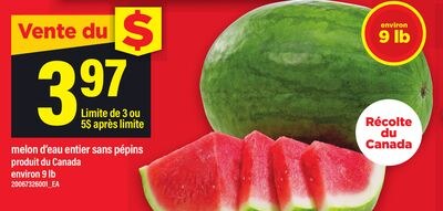 MELON D'EAU ENTIER SANS PÉPINS, ENVIRON 9 LB