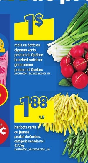Radis en boîte ou radis rouges frais