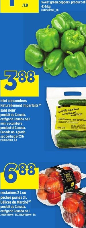 Poivrons verts doux