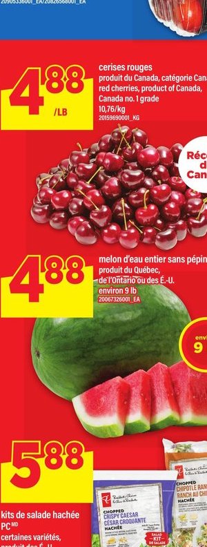 Mini concombres