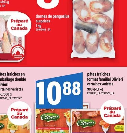 Portions de saumon de l'Atlantique