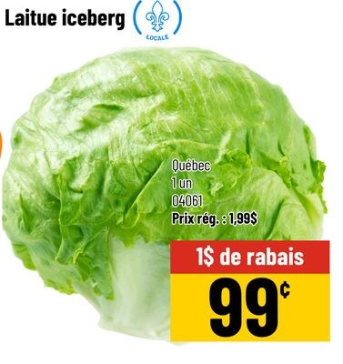 Laitue iceberg