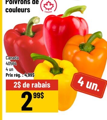 Poivrons de couleurs