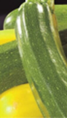 EGGPLANTS OR GREEN OR YELLOW ZUCCHINI | AUBERGI…