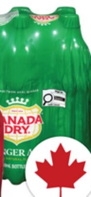 COCA-COLA OR CANADA DRY SOFT DRINKS | BOISSONS …