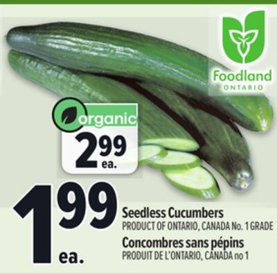SEEDLESS CUCUMBERS | CONCOMBRES SANS PÉPINS