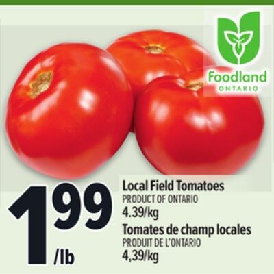 LOCAL FIELD TOMATOES | TOMATES DE CHAMP LOCALES