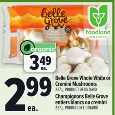 BELLE GROVE WHOLE WHITE OR CREMINI MUSHROOMS | …