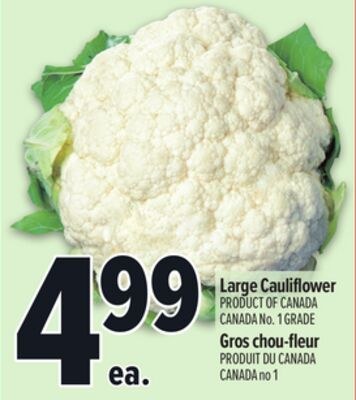 LARGE CAULIFLOWER | GROS CHOU-FLEUR