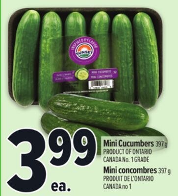MINI CUCUMBERS | MINI CONCOMBRES