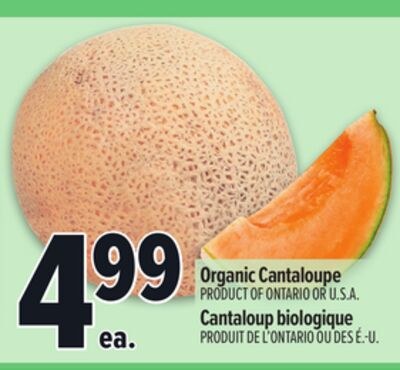 ORGANIC CANTALOUPE | ORGANIC CANTALOUPE