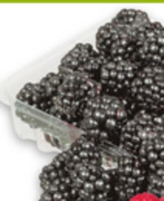 RASPBERRIES, BLACKBERRIES | FRAMBOISES, MÛRES