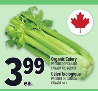 ORGANIC CELERY | CÉLERI BIOLOGIQUE