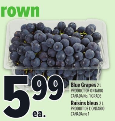 BLUE GRAPES | RAISINS BLEUS