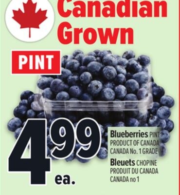 BLUEBERRIES | BLEUETS