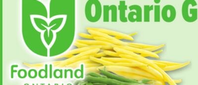 GREEN OR YELLOW BEANS | HARICOTS VERTS OU JAUNES