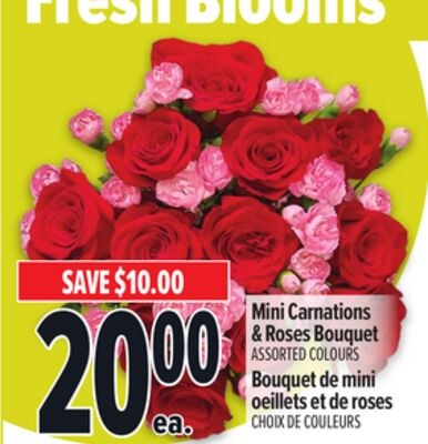 MINI CARNATIONS & ROSES BOUQUET | BOUQUET DE MI…