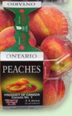 LOCAL BASKETS PEACHES | BLUE PLUMS | NECTARINES…