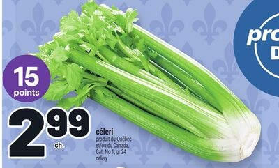 CÉLERI | CELERY