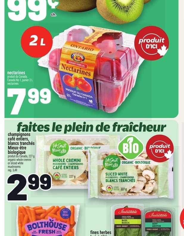 Gros kiwi