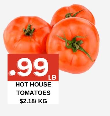 HOT HOUSE TOMATOES
