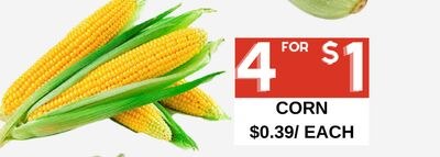 CORN