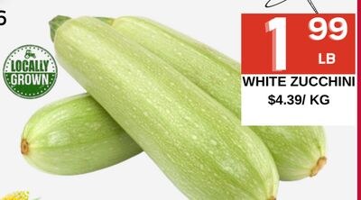 WHITE ZUCCHINI