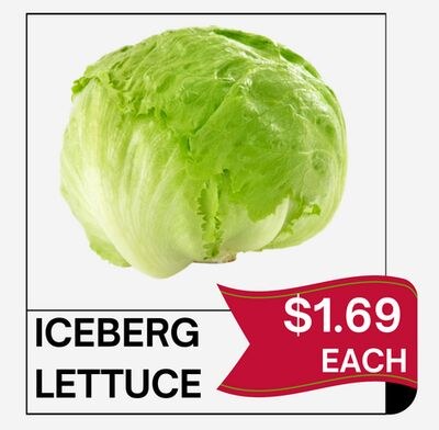 ICEBERG LETTUCE