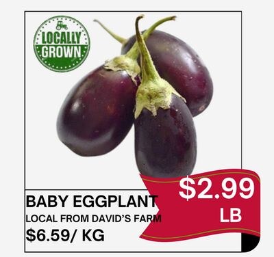 BABY EGGPLANT