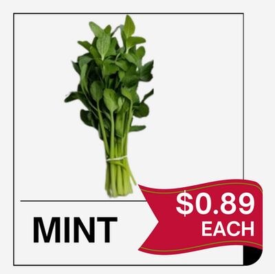 MINT