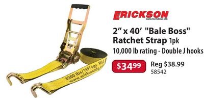 ERICKSON 2" x 40' "Bale Boss" Ratchet Strap 1pk