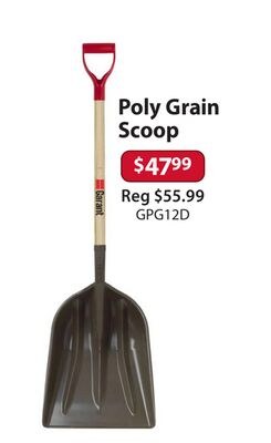 Poly Grain Scoop
