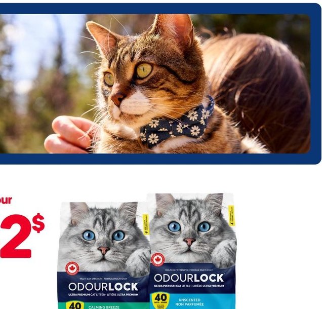 ODOURLOCK Litière agglomérante 12 kg