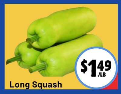 Long Squash