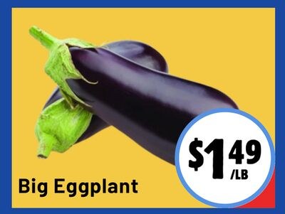 Big Eggplant