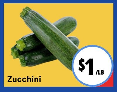 Zucchini