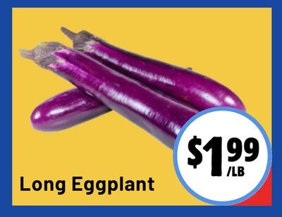 Long Eggplant