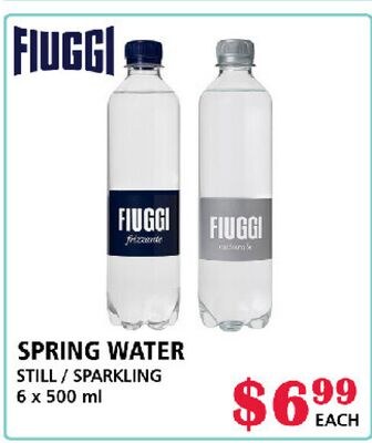 FIUGGI SPRING WATER