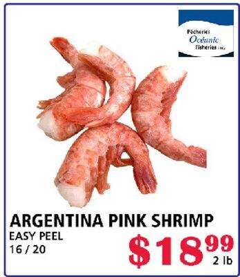 ARGENTINA PINK SHRIMP