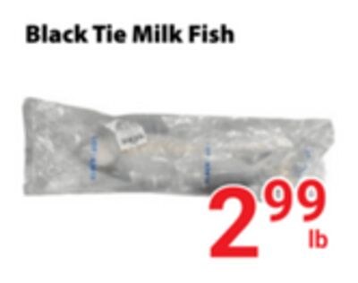 Black Tie Milk Fish