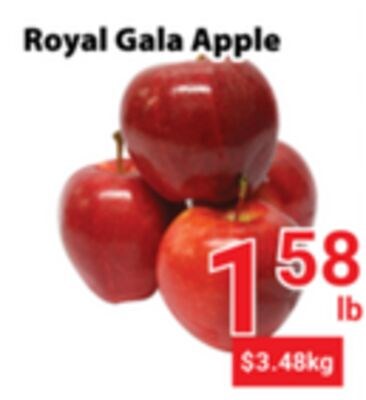 Royal Gala Apple