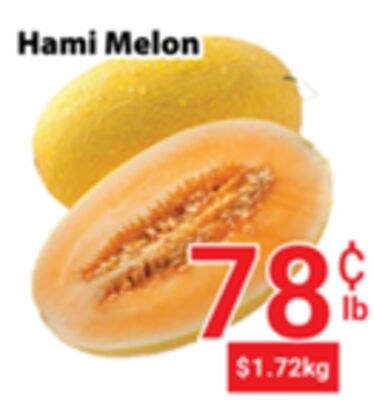 Hami Melon